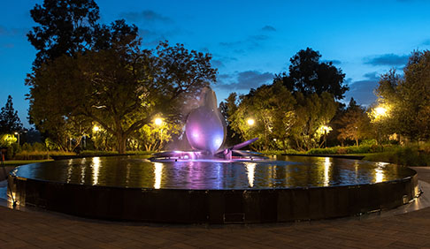 Gilman fountain illuminated at night