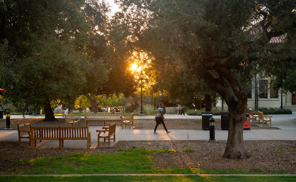 The Academic Quad at sunset