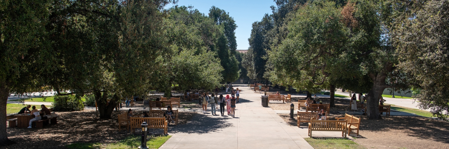 The Academic Quad at mid-day, students are walking down the center pathway