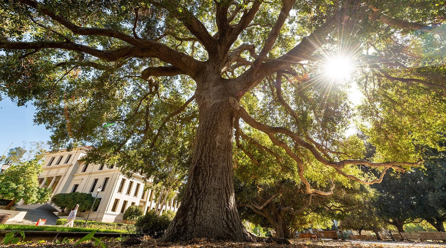Occidental College