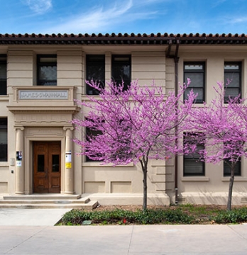 Image of Swan Hall with flowering trees